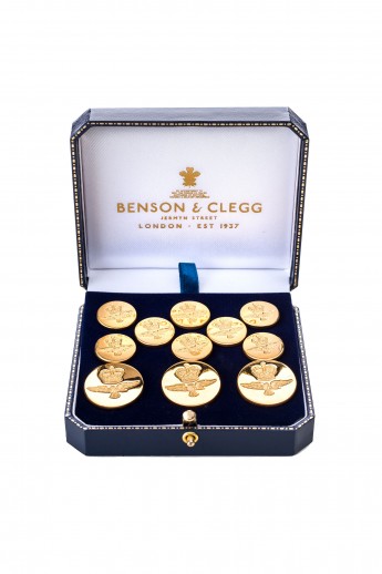 Saint-Exupéry Buttons