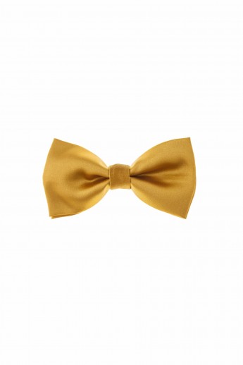 Ashiby bow tie